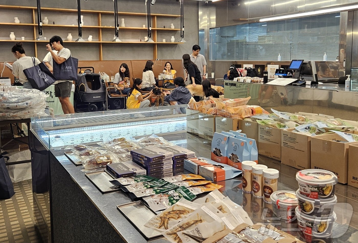 본문 이미지 - 20일 강남의 한 카페에서는 '아크보호소' 후원바자회가 열렸다. ⓒ 뉴스1 최서윤 기자