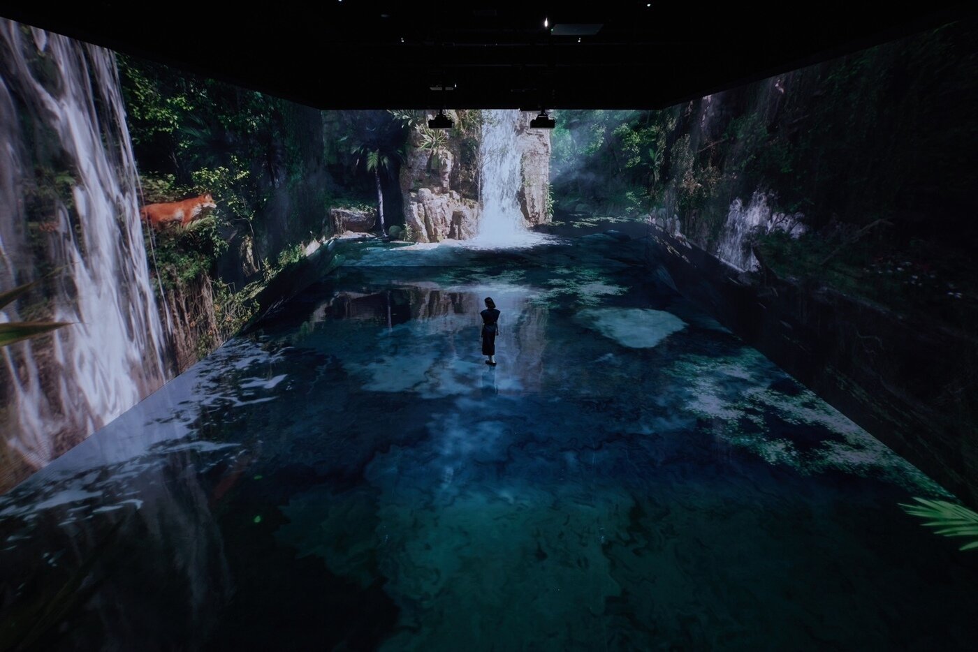 본문 이미지 - 사진=뮤지엄 헤이 제공