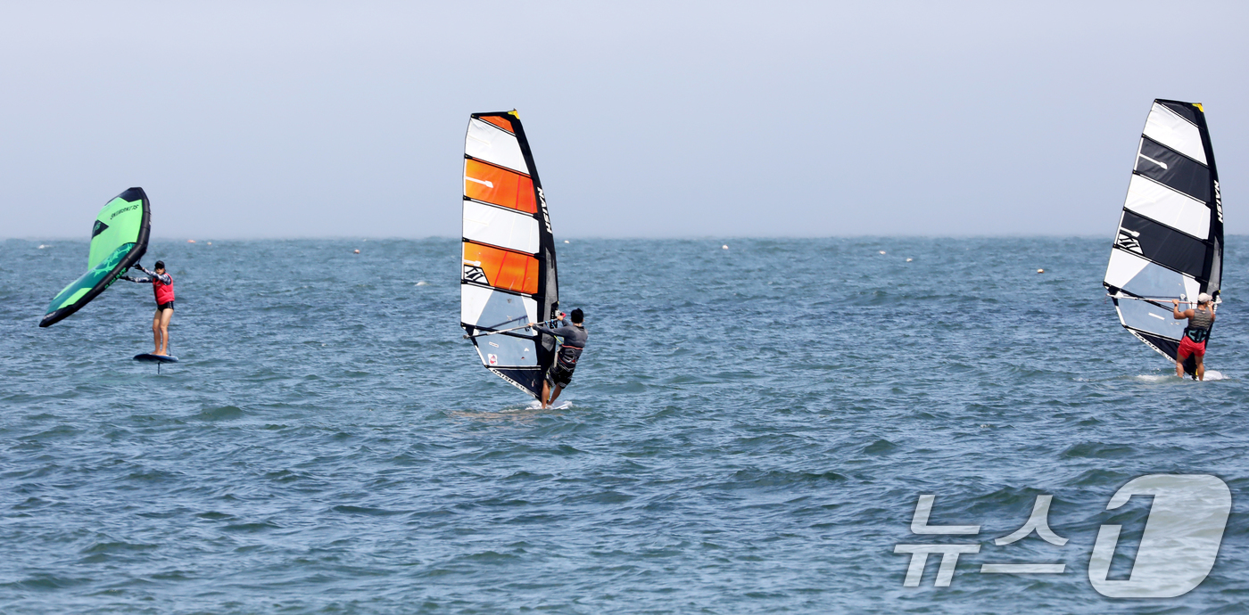 (부산=뉴스1) 윤일지 기자 = 폭염특보가 이어진 23일 오후 부산 해운대구 송정해수욕장에서 윈드서핑 동호인들이 바람을 가르며 질주하고 있다. 2024.7.23/뉴스1