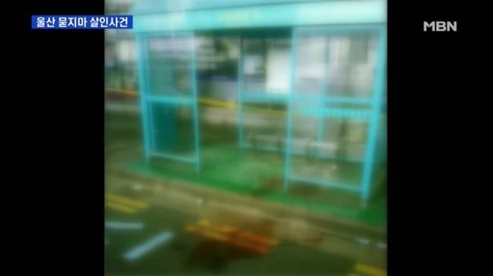 본문 이미지 - (MBN 뉴스 갈무리)