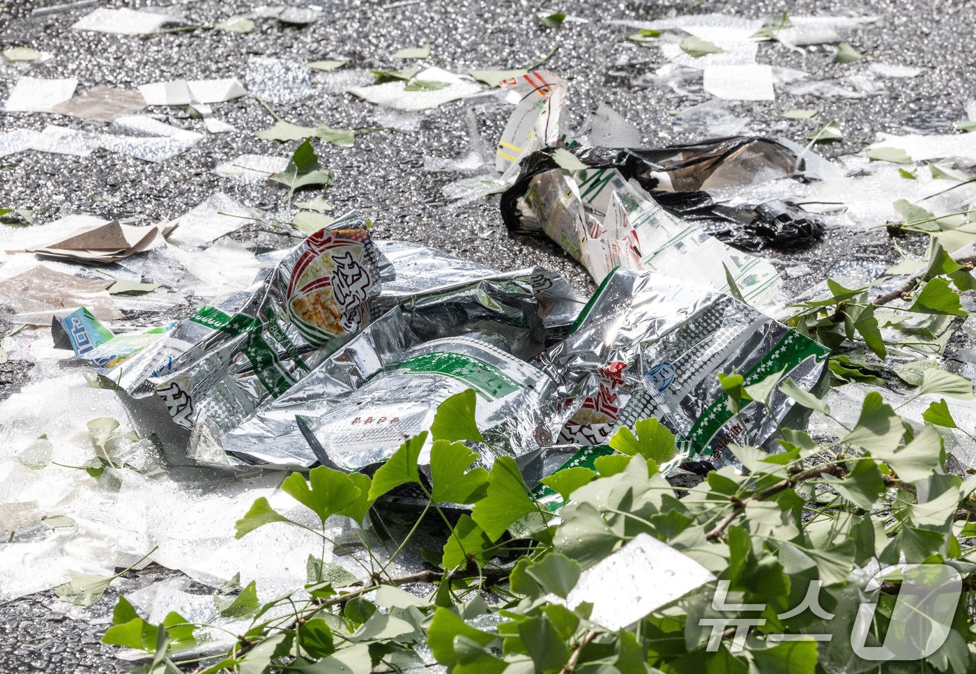 본문 이미지 - 북한이 대남 오물풍선을 살포한 24일 오전 서울 중구 정동길 인근에 떨어진 내용물의 모습. 2024.7.24/뉴스1 ⓒ News1 이재명 기자