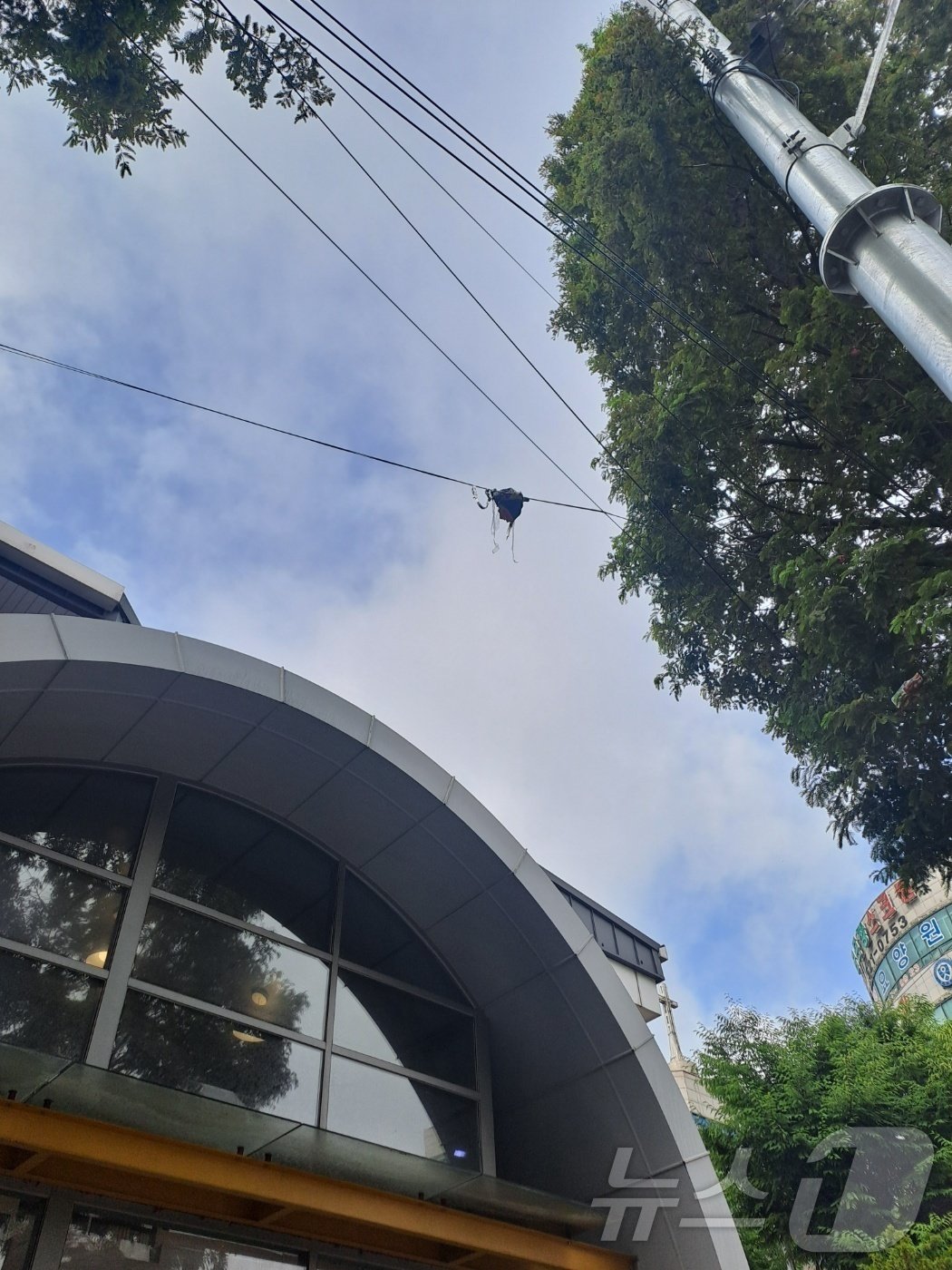 본문 이미지 - 24일 인천시 부평구 부개동의 한 거리 전깃줄에 북쪽에서 날아온 쓰레기풍선이 전깃줄에 걸려있다.(인천소방본부 제공)2024.7.24/뉴스1 ⓒ News1 박소영 기자