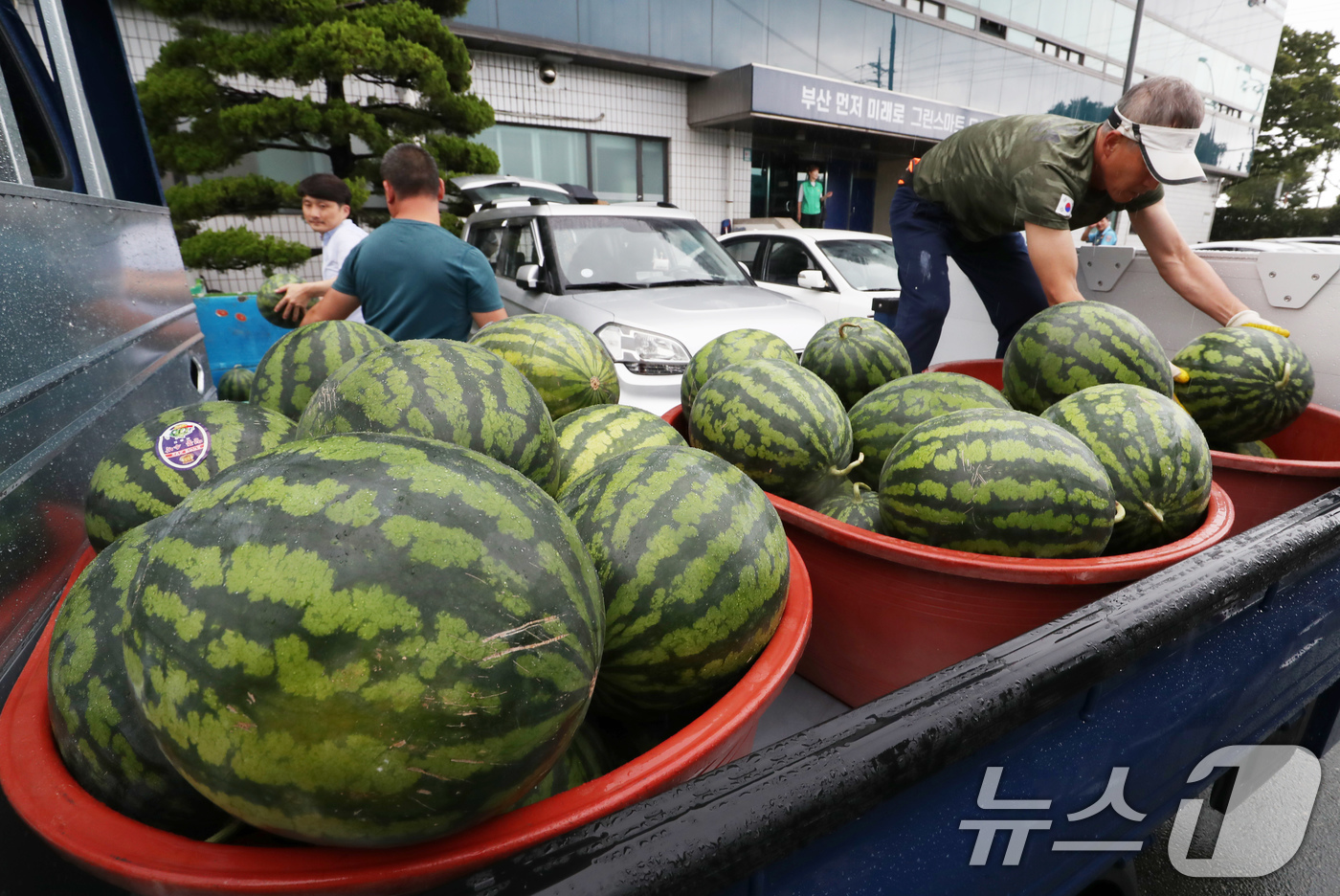 (부산=뉴스1) 윤일지 기자 = 24일 오전 부산 사상구 엄궁농산물도매시장에서 도매시장 유통종사자들이 소외계층에 전달할 수박을 차량에 옮겨 싣고 있다.엄궁농산물도매시장 관리사업소는 …