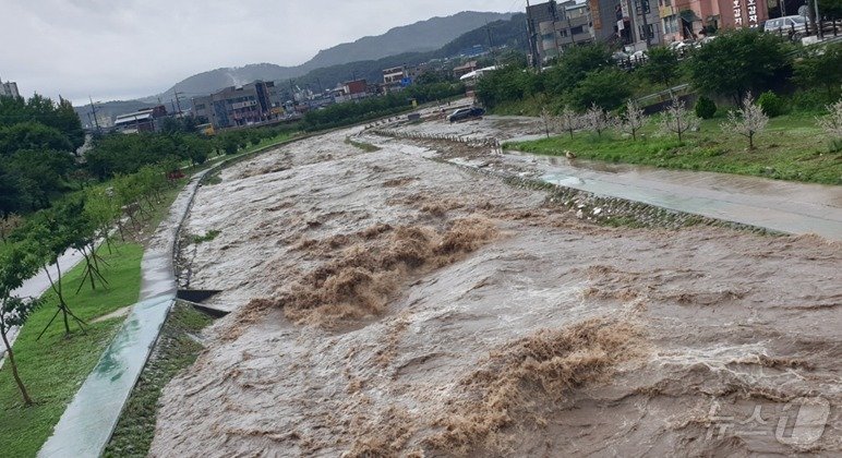 본문 이미지 - 24일 오전 강원 원주시 태장동 흥양천 주변. (독자 제공) 2024.7.24/뉴스1