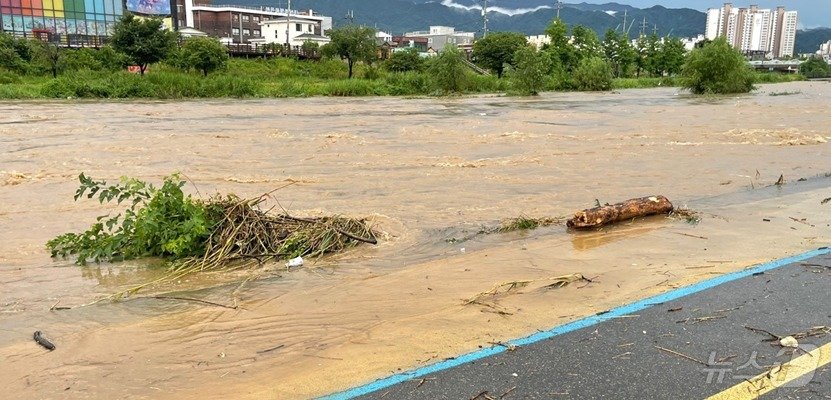 본문 이미지 - 24일 오전 강원 원주시 봉산동 원주천 주변. (독자 제공) 2024.7.24/뉴스1