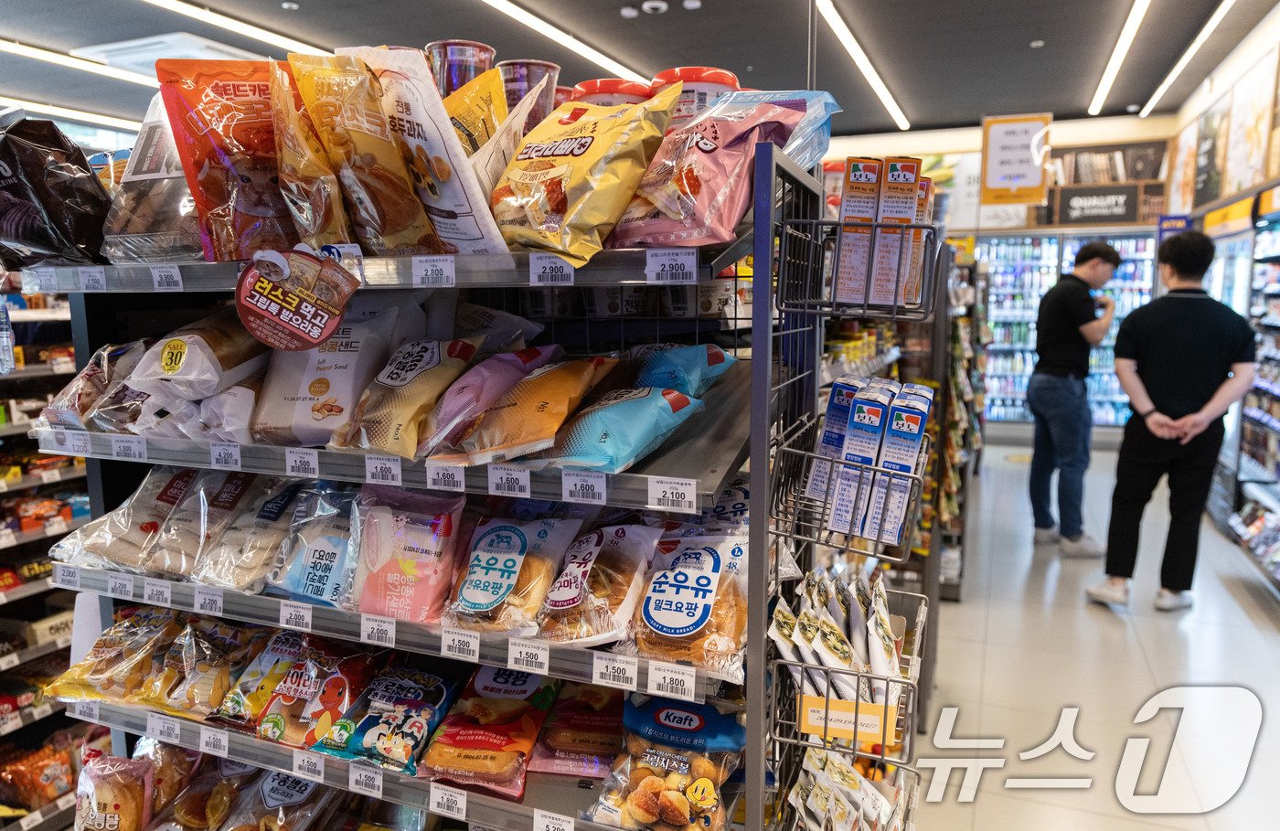 본문 이미지 - 고/뉴스1 ⓒ News1 이재명 기자