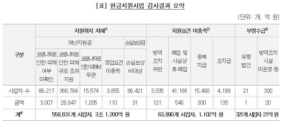 본문 이미지 - &#40;감사원 제공&#41;