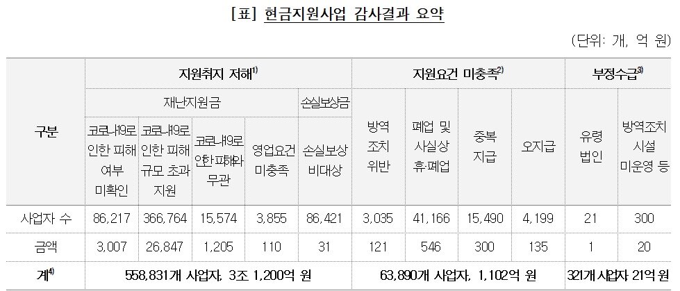 &#40;감사원 제공&#41;