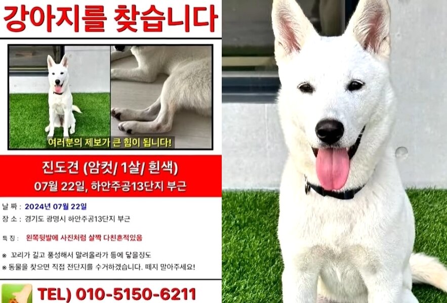 본문 이미지 - &#40;JTBC &#39;사건반장&#39;&#41;