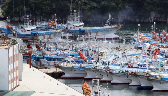 제주 참조기 위판실적 전년대비 '반토막'…11일 조업 재개