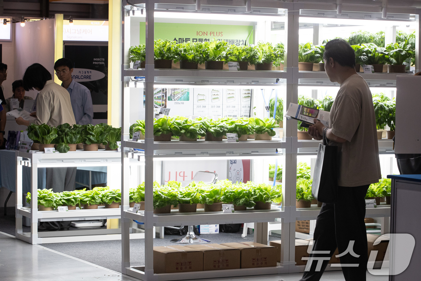 (서울=뉴스1) 유승관 기자 = 25일 서울 강남구 코엑스에서 열린 2024 농식품 테크 스타트업 창업 박람회에서 관람객들이 스마트팜 채소를 살펴보고 있다.이번 박람회는 농식품 분 …