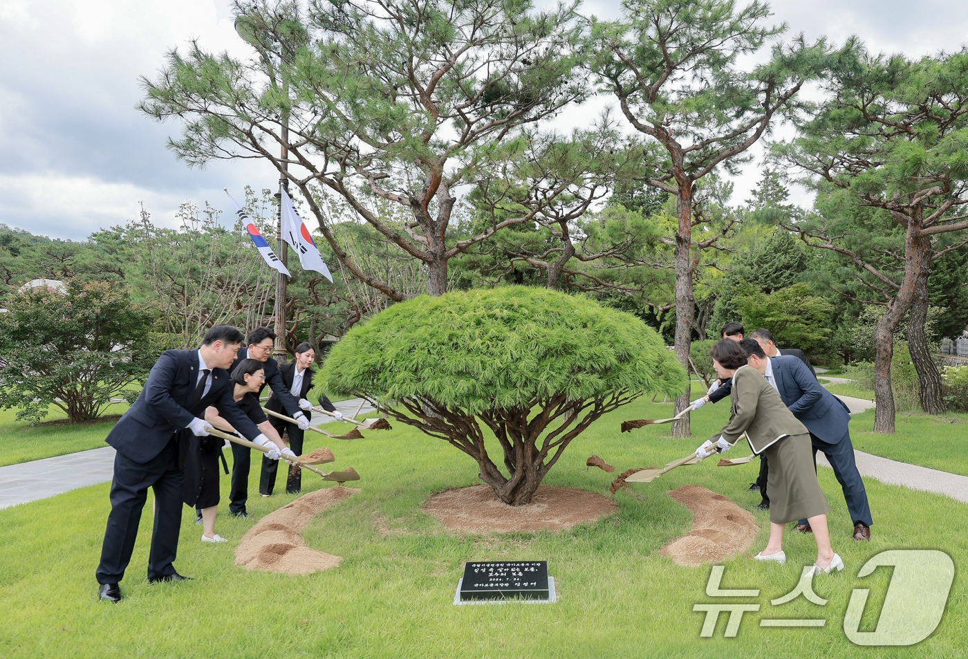 (서울=뉴스1) = 강정애 국가보훈부 장관이 25일 오전 서울 동작구 국립서울현충원에서 열린 국립서울현충원 국가보훈부 이관 기념행사에서 직원들과 함께 기념식수를 하고 있다.지난 1 …