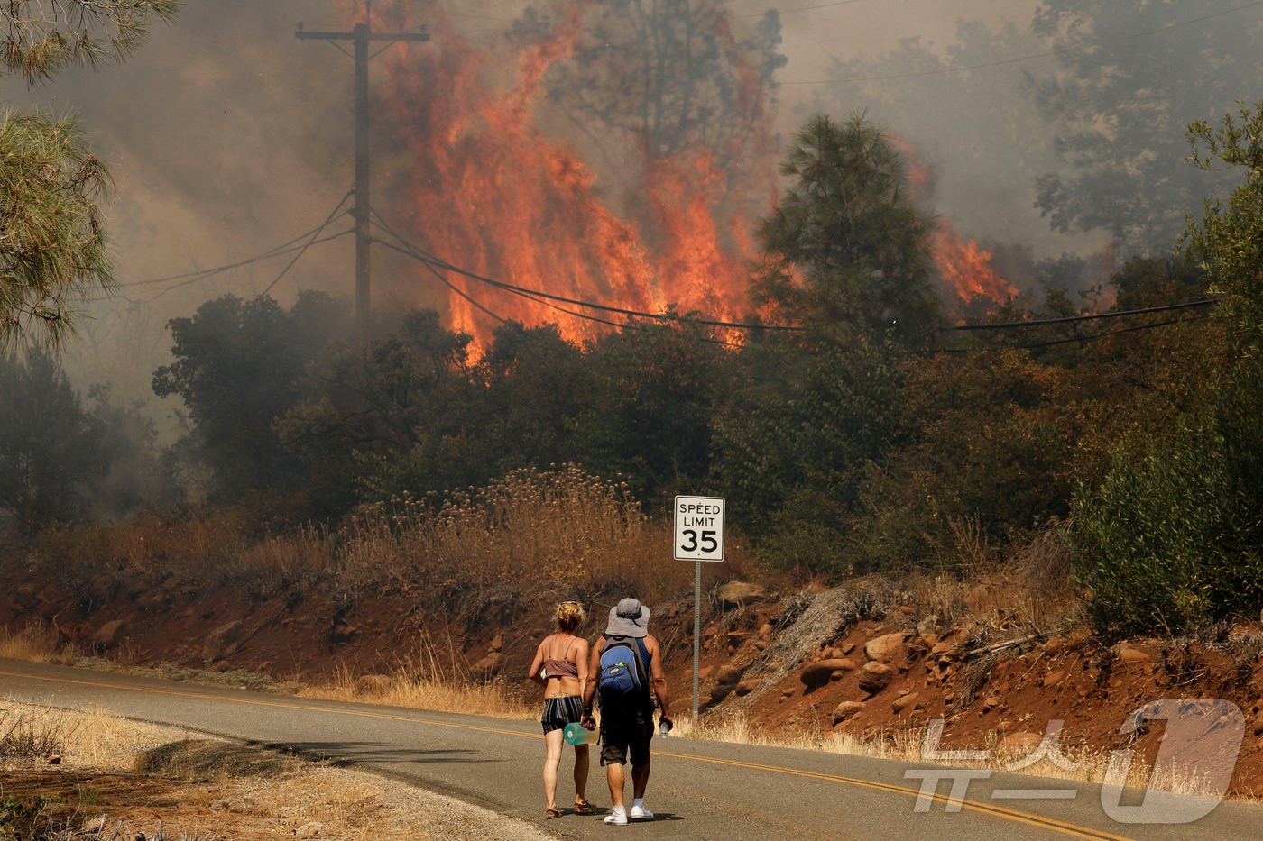본문 이미지 - 25일(현지시간) 미국 캘리포니아주 북부 뷰트카운티 치코 지역의 공원에서 화재가 발생해 불길이 치솟고 있다. 2024.07.25 ⓒ 로이터=뉴스1 ⓒ News1 정지윤 기자