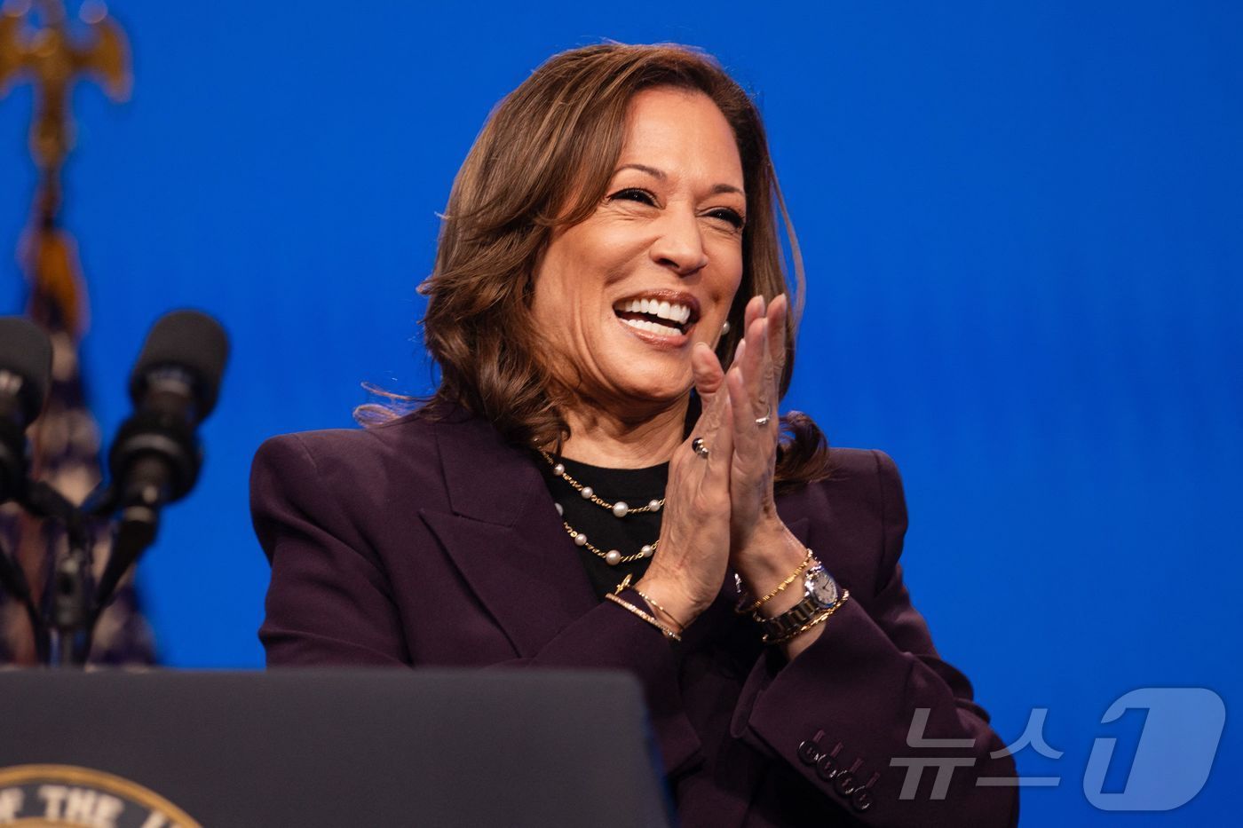 본문 이미지 - 카멀라 해리스 미국 부통령. ⓒ AFP=뉴스1 ⓒ News1 우동명 기자