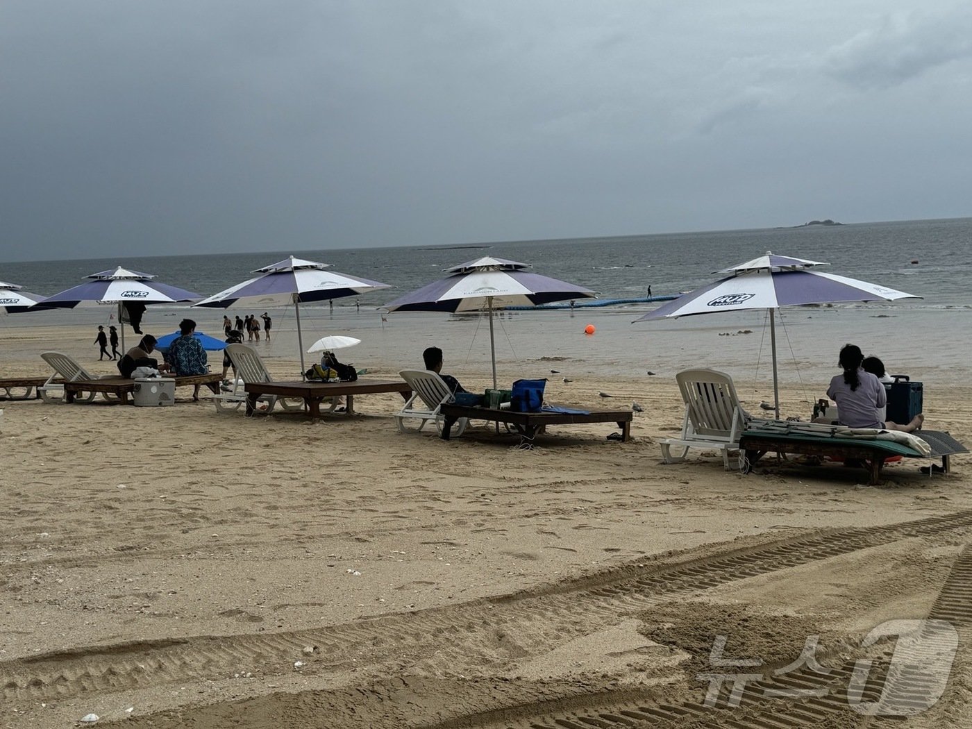 본문 이미지 - 충남 보령시 대천해수욕장에서 평상을 대여한 피서객들이 휴식을 취하고 있다. ⓒ 뉴스1 김형준 기자