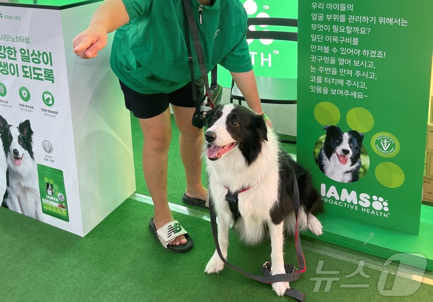 한국마즈는 26일 송도컨벤시아에서 열린 케이펫페어에서 &#39;78년 노하우로 건강한 일상이 일생이 되도록&#39; 캠페인을 펼쳤다&#40;마즈 제공&#41;. ⓒ 뉴스1