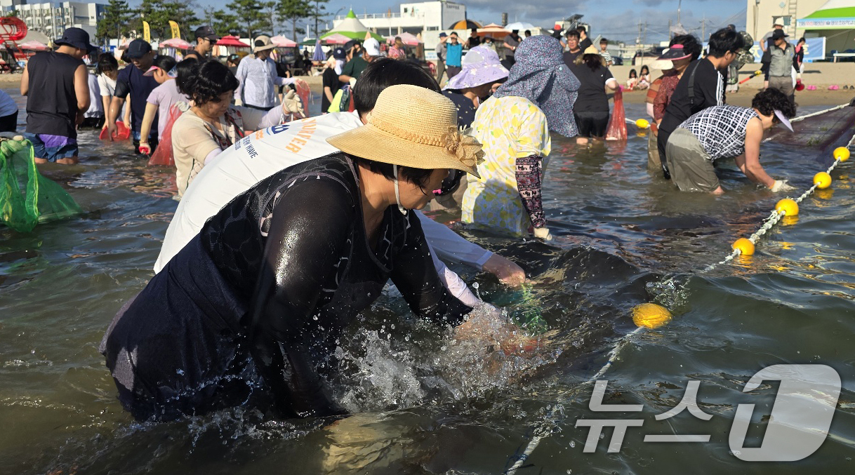 (포항=뉴스1) 최창호 기자 = 28일 오전 경북 포항시 북구 월포해수욕장에서 열린 후릿그물 당기기에 참여한 관광객들이 그물 속에 들어온 고기 등 각종 수산물을 잡고 있다.후릿그물 …