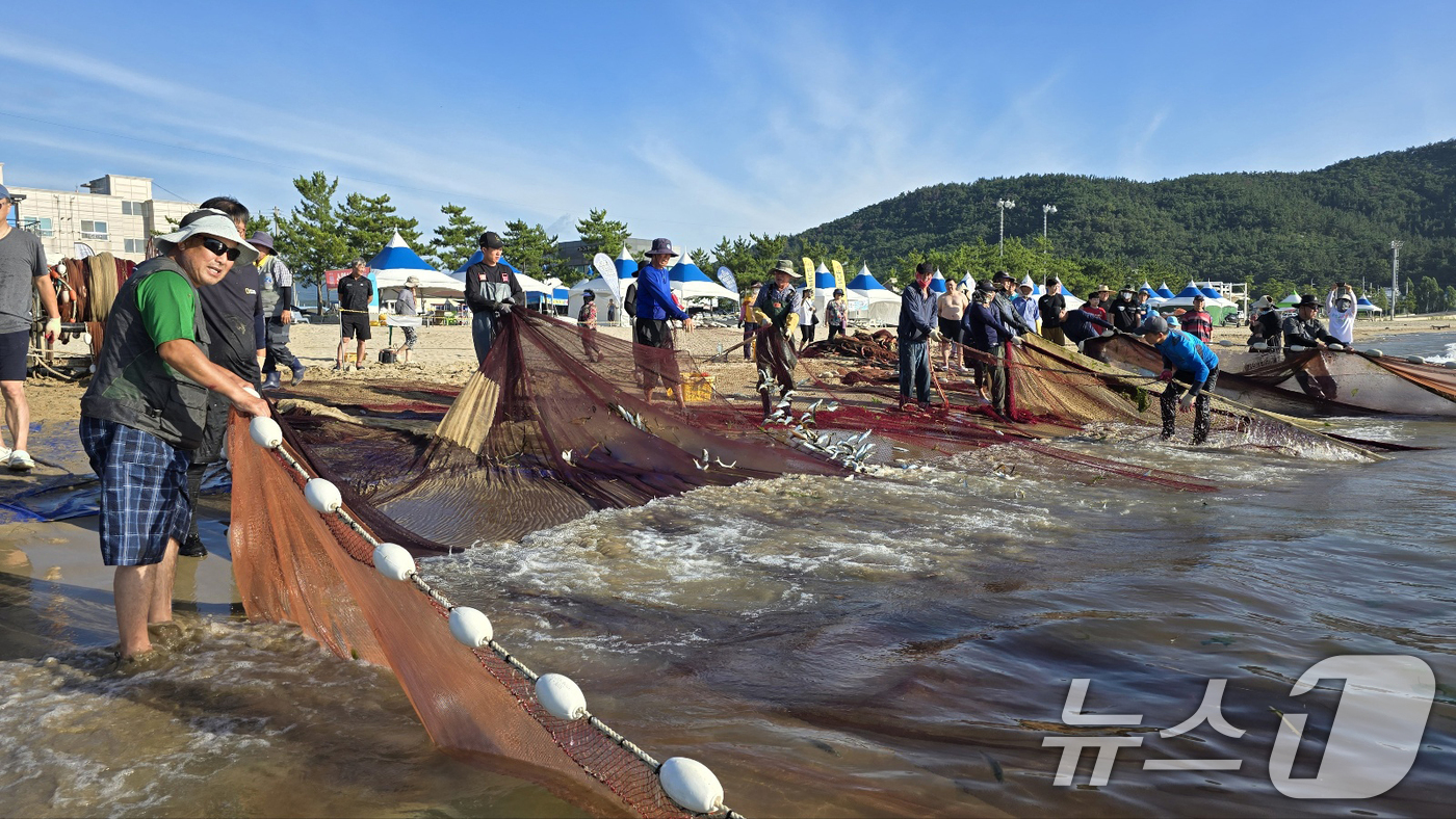 (포항=뉴스1) 최창호 기자 = 28일 오전 경북 포항시 북구 월포해수욕장에서 열린 후릿그물 당기기에 참여한 관광객들이 그물을 함께 당기고 있다.후릿그물 당기기는 월포해수욕장 변영 …