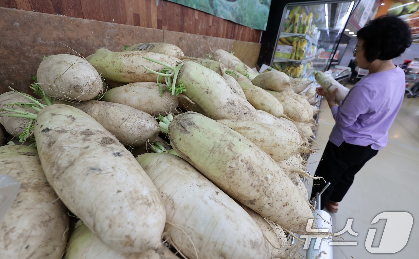 본문 이미지 - 서울 시내 한 대형마트에서 시민들이 무를 구매하고 있다. ⓒ News1 김성진 기자