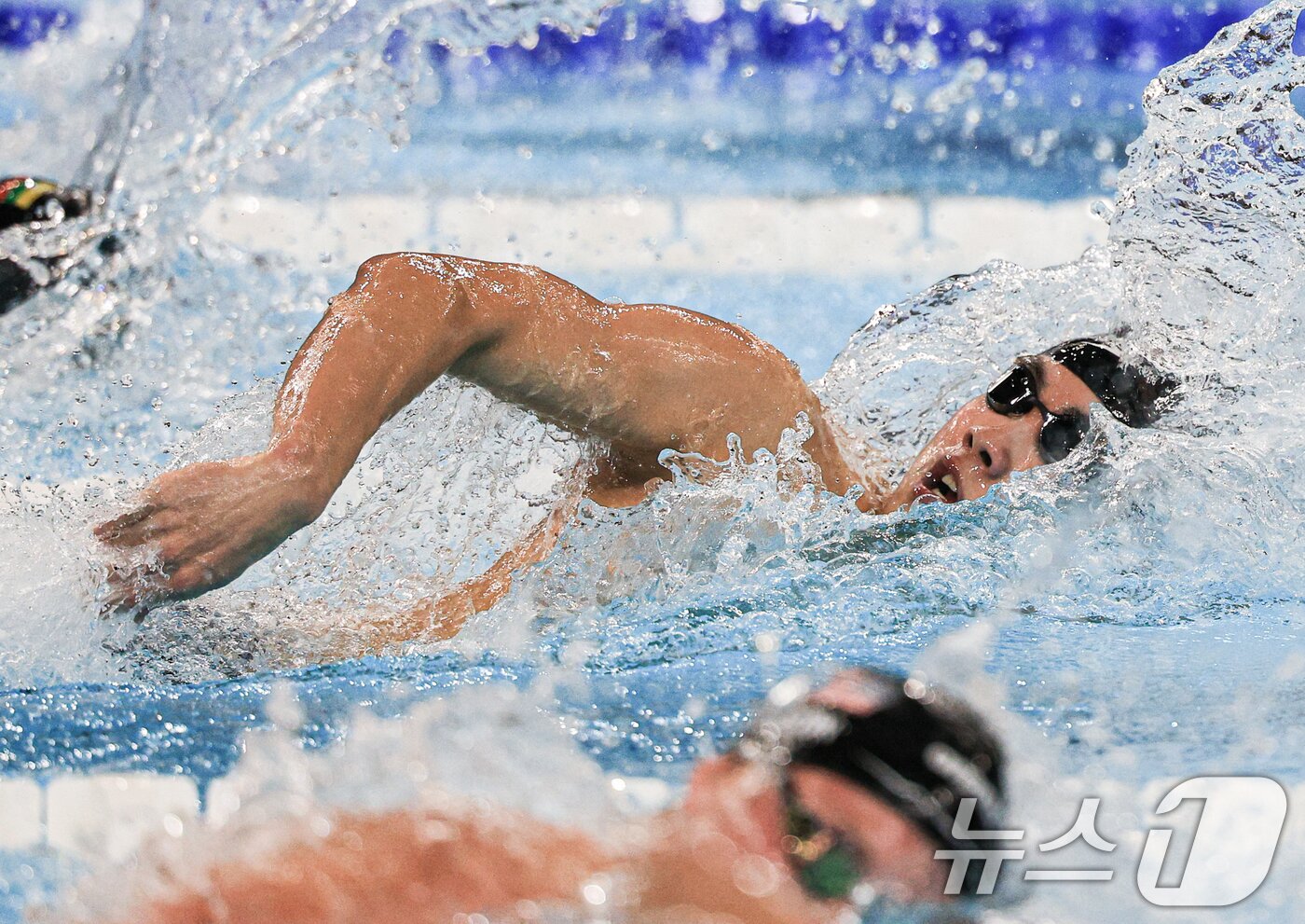 본문 이미지 - 대한민국 경영 대표팀 황선우 선수가 29일&#40;한국시간&#41; 프랑스 파리 라 데팡스 아레나에서 열린 남자 200m 자유형 준결승 경기에서 역영을 펼치고 있다. 2024.7.29/뉴스1 ⓒ News1 박정호 기자