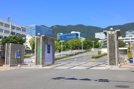 부산대 의대교수회 "조건 없는 학생 휴학·대학 자율성 보장해야"