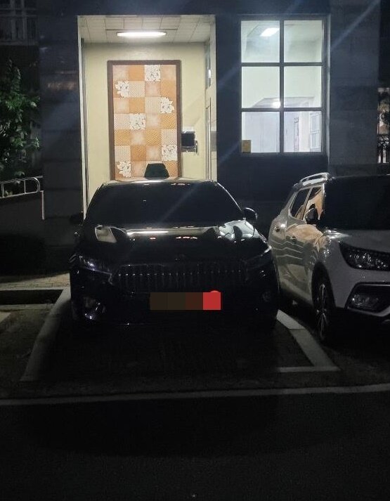 본문 이미지 - (보배드림 갈무리)