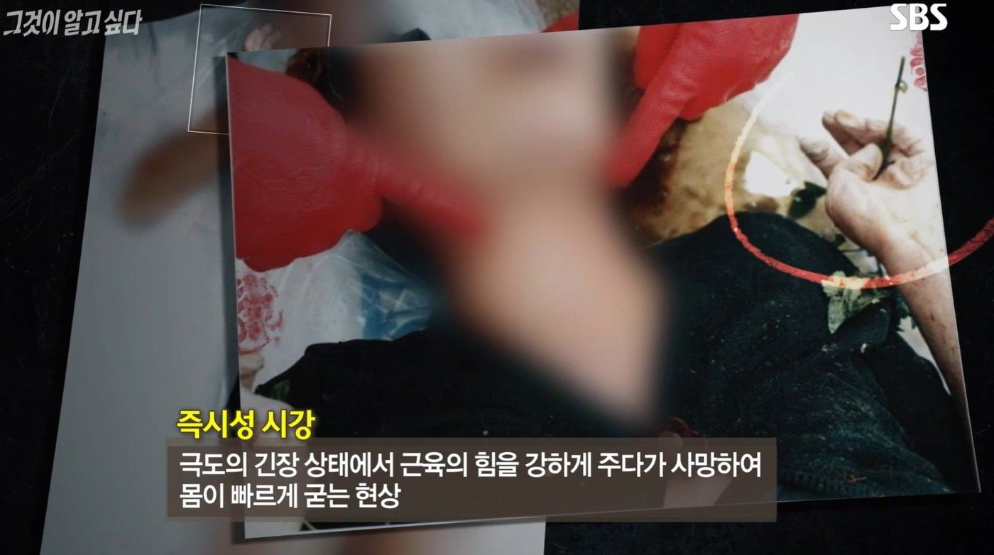 본문 이미지 - (SBS '그것이 알고 싶다')