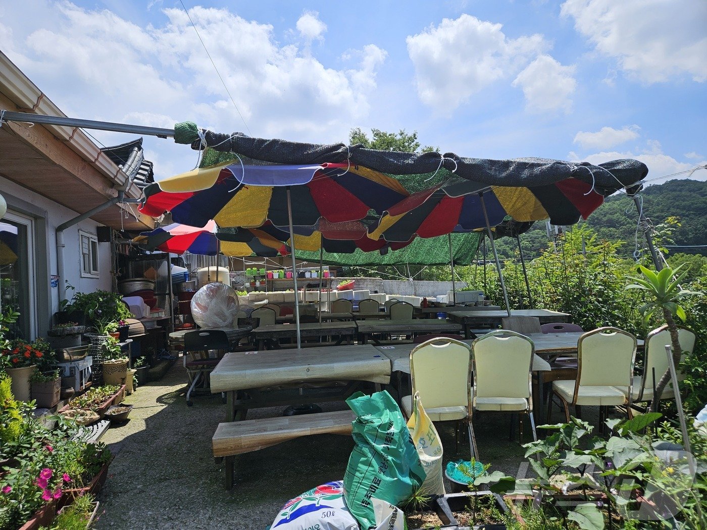 본문 이미지 - 상당산성 일대 식당 모습. 영업을 위해 천막을 설치했다.2024.7.1/뉴스1 이재규 기자 