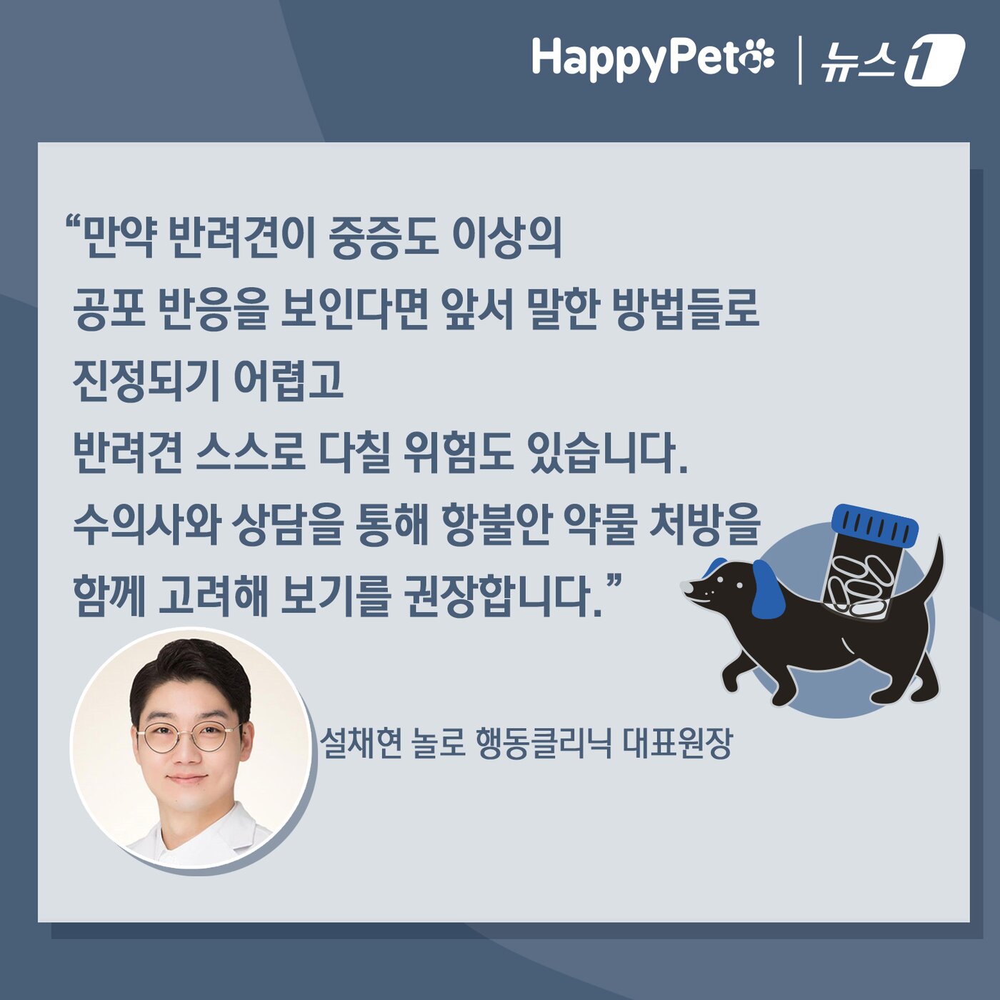 본문 이미지 - 비만 오면 벌벌 떠는 반려견 대처법 ⓒ News1 김초희 디자이너