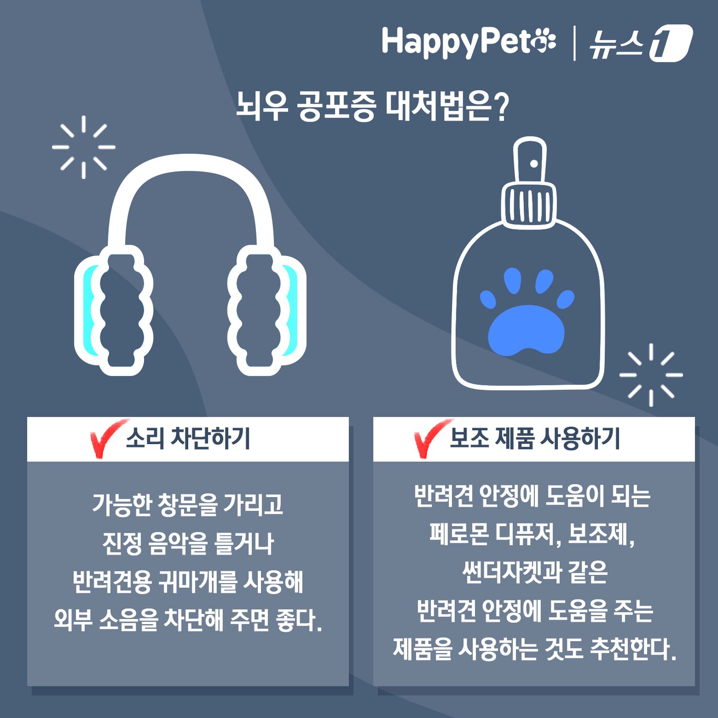 비만 오면 벌벌 떠는 반려견 대처법 ⓒ News1 김초희 디자이너