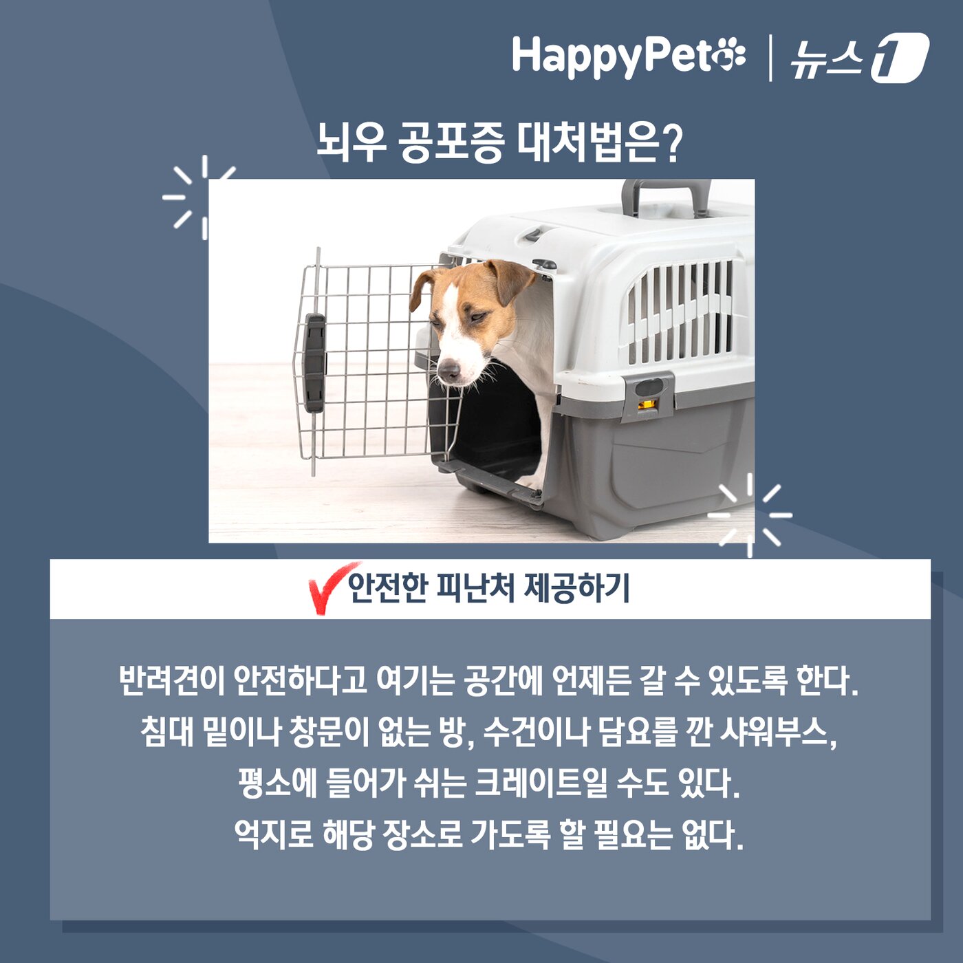 본문 이미지 - 비만 오면 벌벌 떠는 반려견 대처법 ⓒ News1 김초희 디자이너