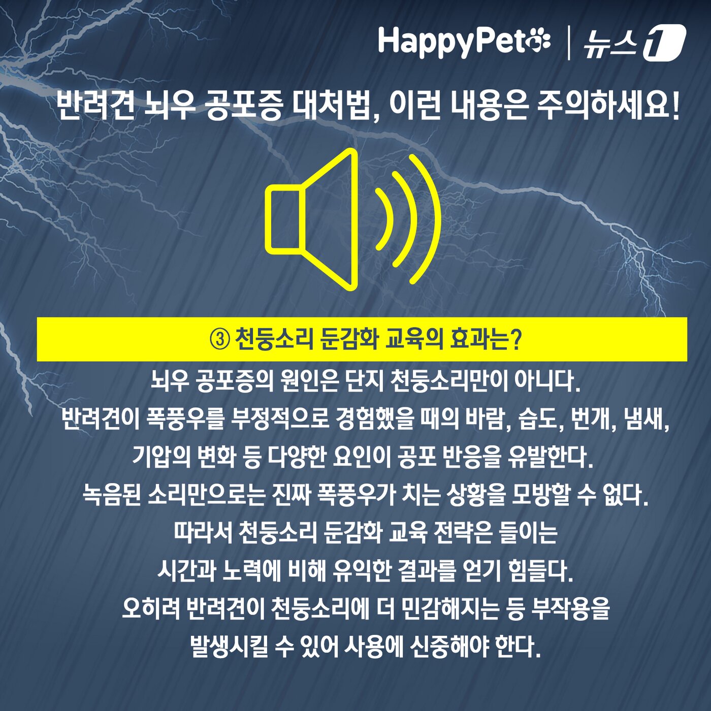 본문 이미지 - 비만 오면 벌벌 떠는 반려견 대처법 ⓒ News1 김초희 디자이너