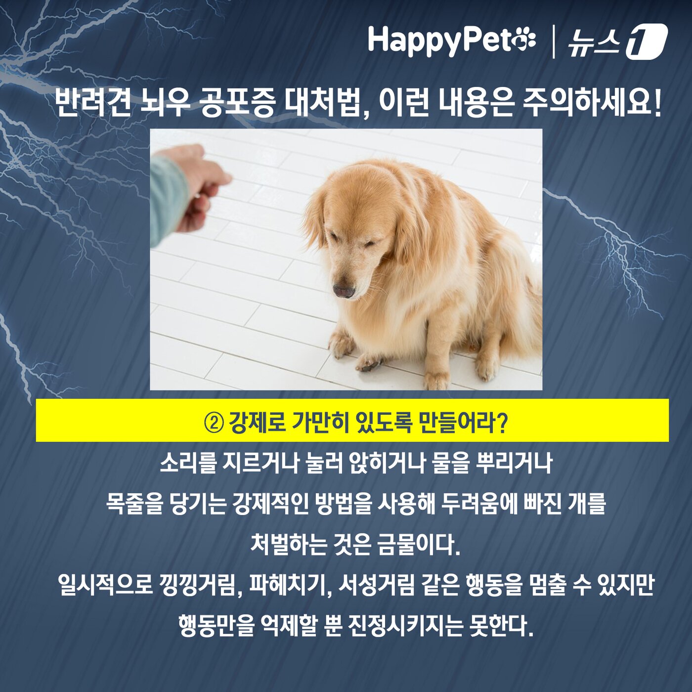 본문 이미지 - 비만 오면 벌벌 떠는 반려견 대처법 ⓒ News1 김초희 디자이너