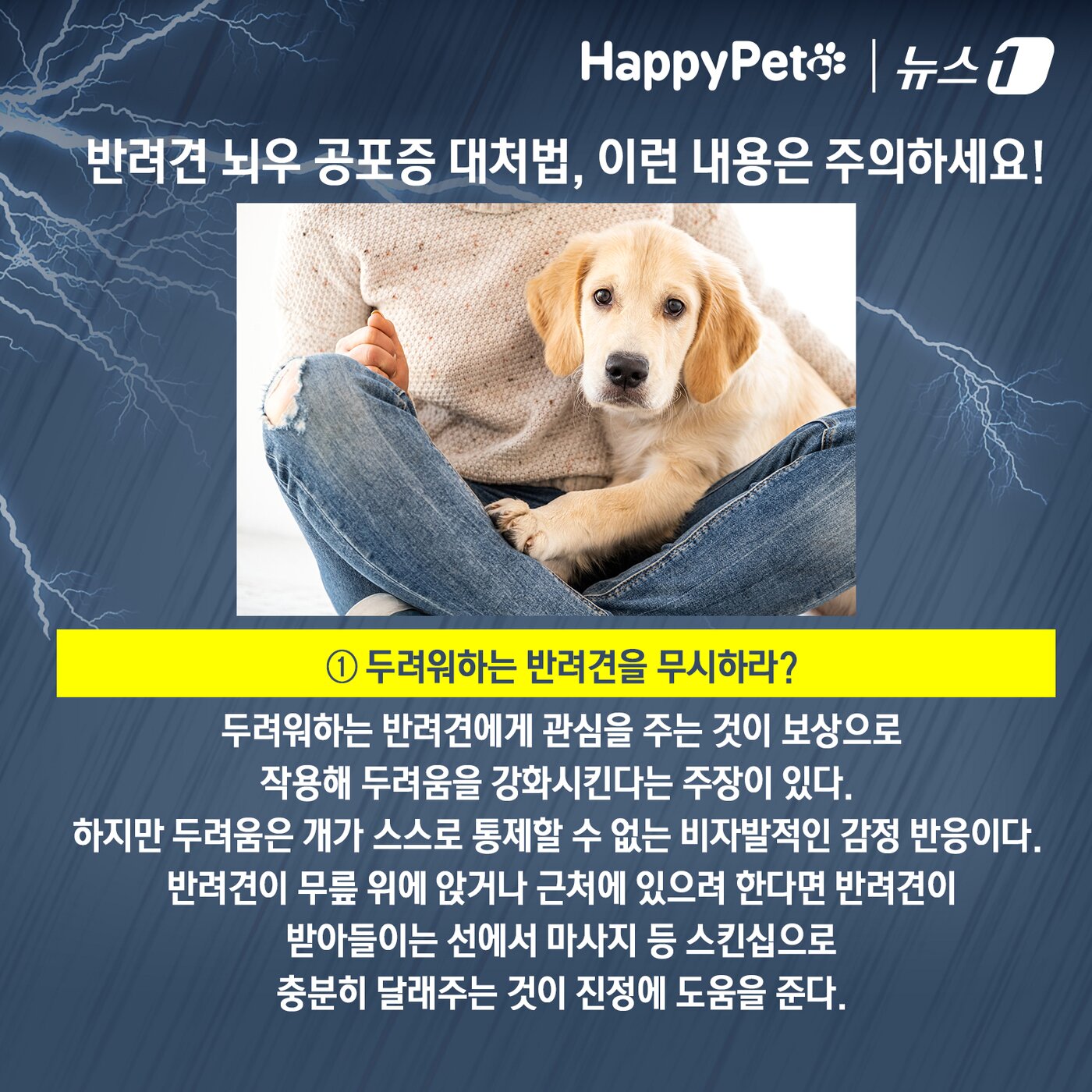 본문 이미지 - 비만 오면 벌벌 떠는 반려견 대처법 ⓒ News1 김초희 디자이너