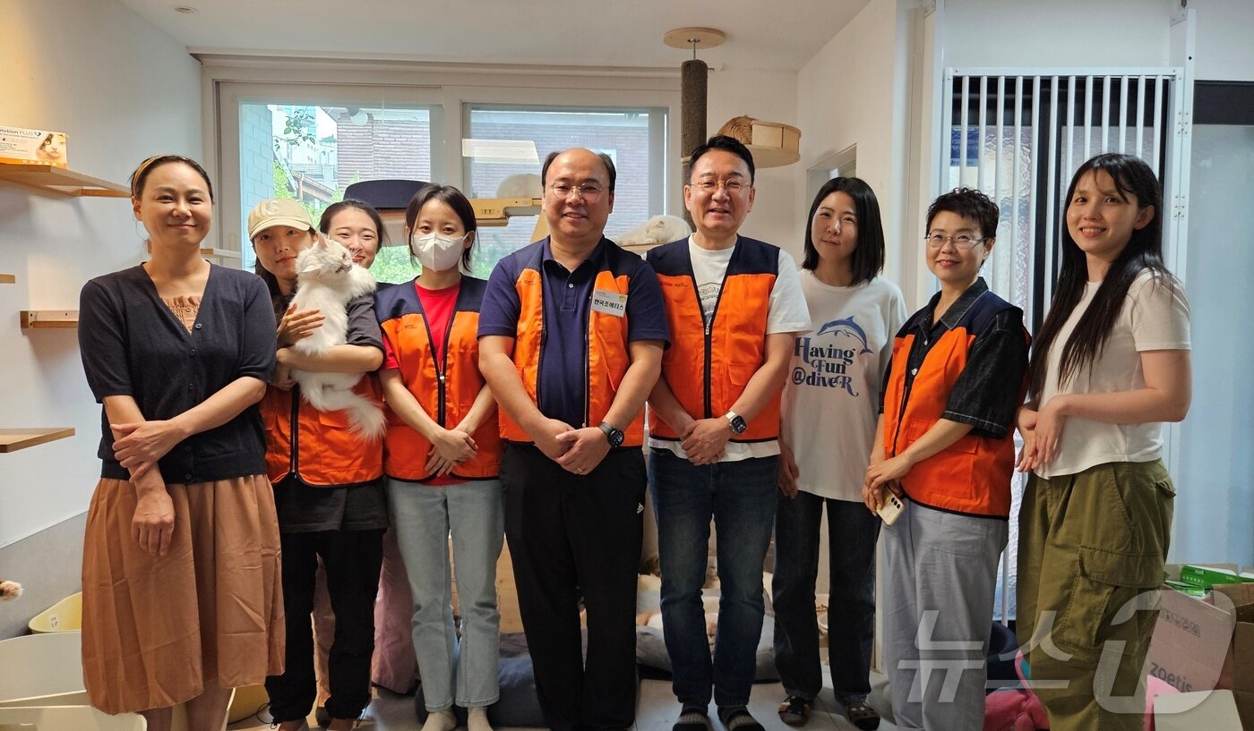 본문 이미지 - 한국조에티스와 스카이동물메디컬센터는 28일 서울 고양이보호소 나비야사랑해에서 봉사활동을 진행했다. ⓒ 뉴스1 최서윤 기자