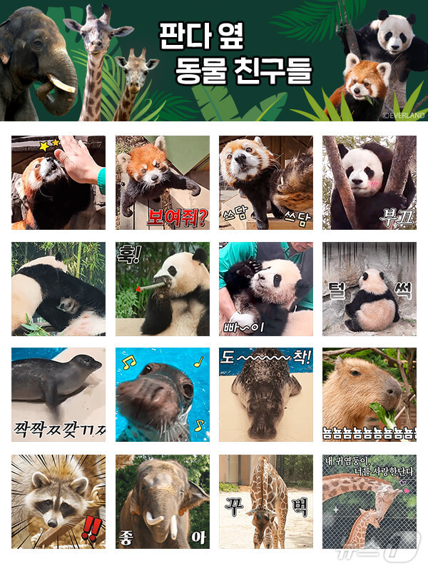 (서울=뉴스1) = 에버랜드가 바오패밀리, 레서판다, 코끼리 등 에버랜드의 스타 동물들이등장하는 신규 카카오 이모티콘 '판다 옆 동물 친구들'을 30일 출시했다고 밝혔다.사진은 카 …