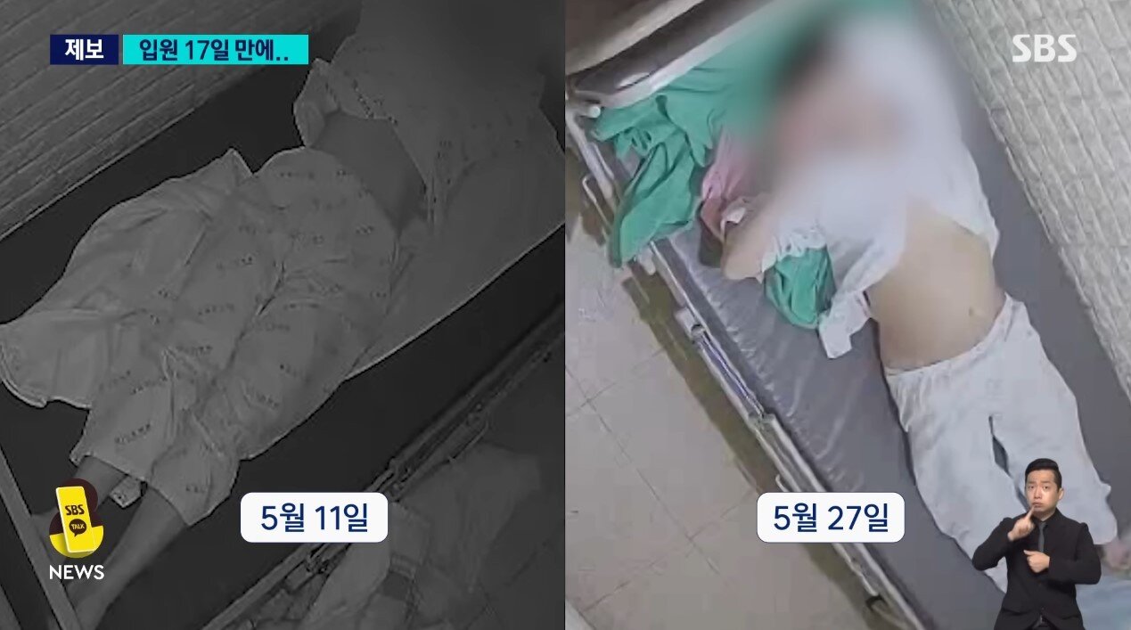 본문 이미지 - (SBS 갈무리)