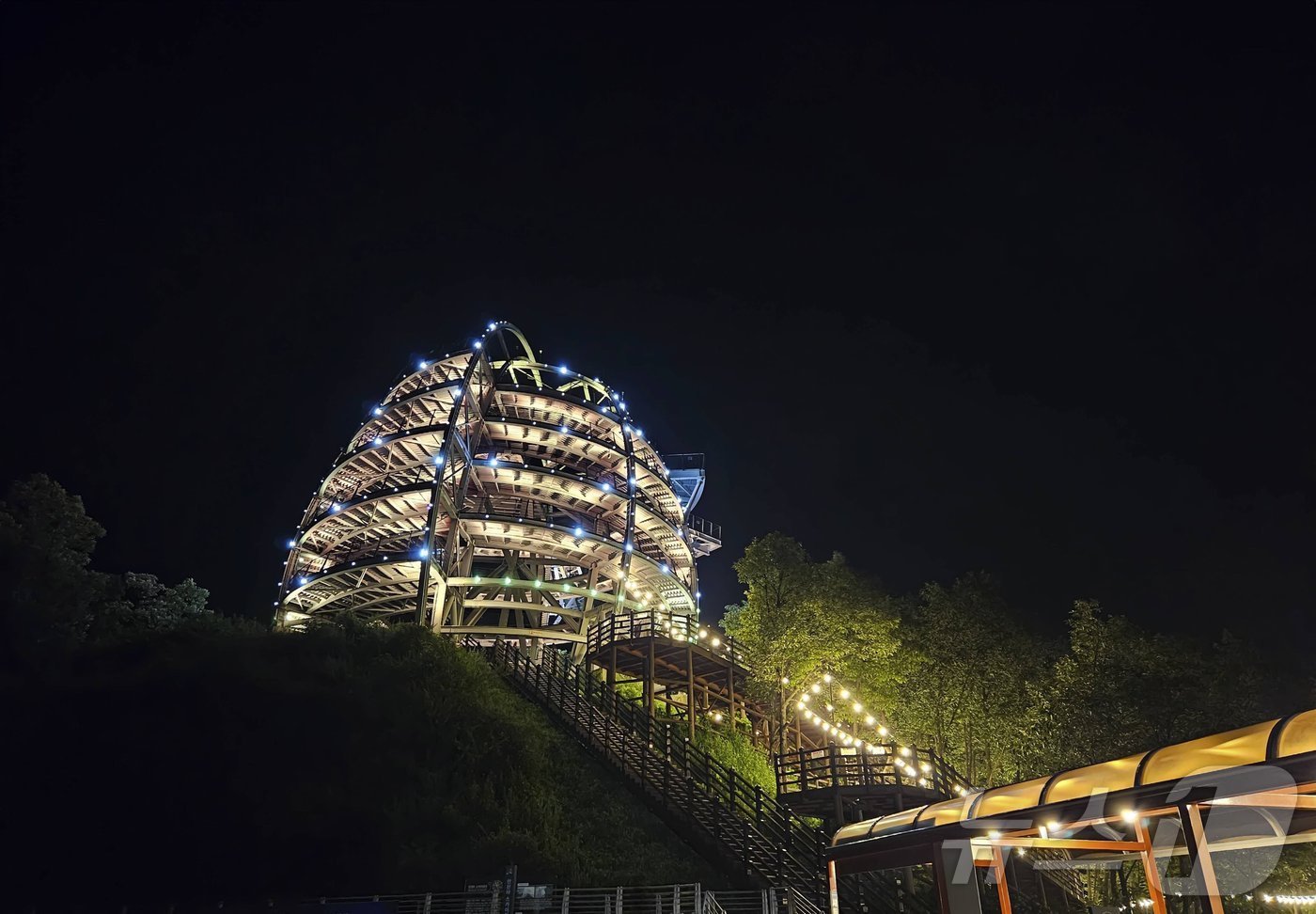 본문 이미지 - 만천하스카이 야간 개장 모습.(단양군 제공).2024.7.30/뉴스1