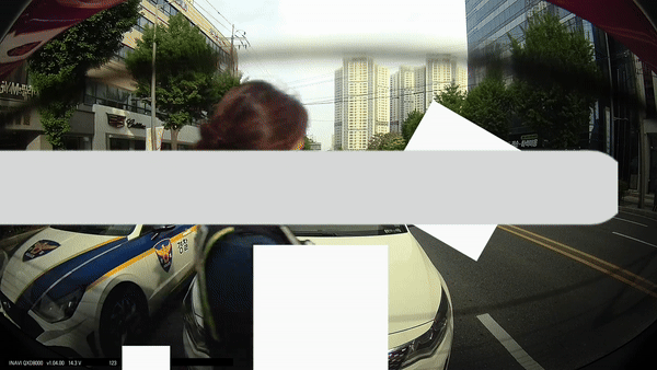 본문 이미지 - (보배드림 갈무리)