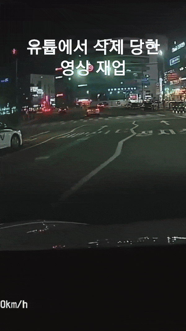 본문 이미지 - ('테슬라마이노')