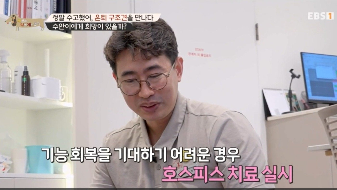 본문 이미지 - 은퇴 인명구조견 수안이를 진료하고 있는 나상민 수의사(세나개 갈무리) ⓒ 뉴스1