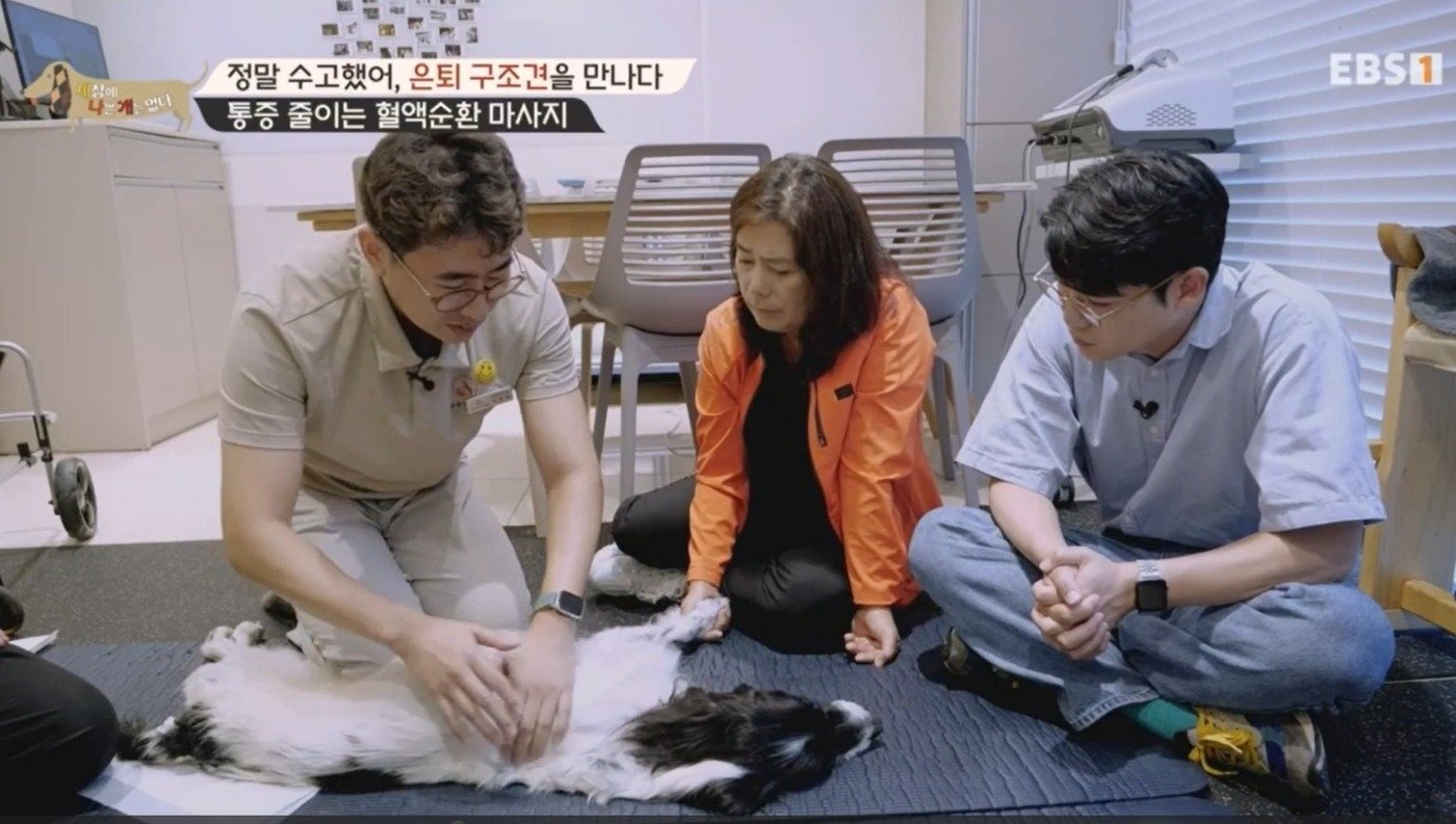 본문 이미지 - 은퇴 인명구조견 수안(세나개 갈무리) ⓒ 뉴스1