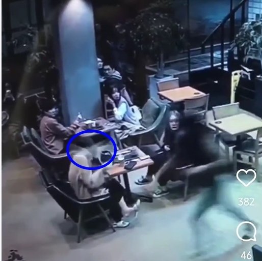 본문 이미지 - (온라인 커뮤니티 갈무리)