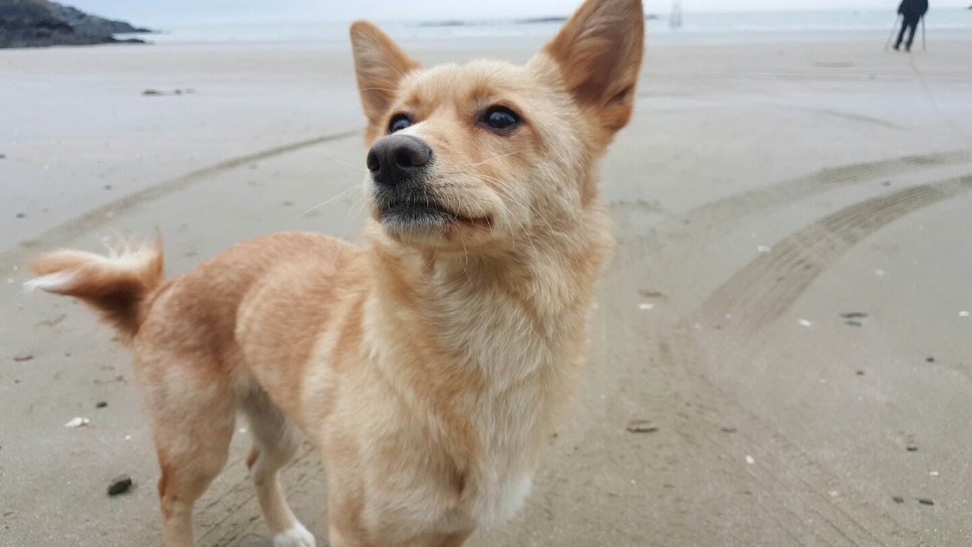 본문 이미지 - '핸섬가이즈' 봉구 스틸컷