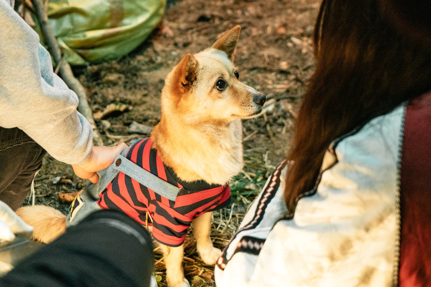 &#39;핸섬가이즈&#39; 봉구 스틸컷