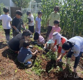 &lt;strong&gt;나진초&lt;/strong&gt;&#40;교장 김대호&#41;- 6월 28일 자연순환 마을학교&#40;텃밭정원&#41; 프로젝트의 일환으로 &#39;로컬 푸드 함께 만들어 먹기&#39;행사를 운영했다.&#40;전남교육청 제공&#41;/뉴스1      