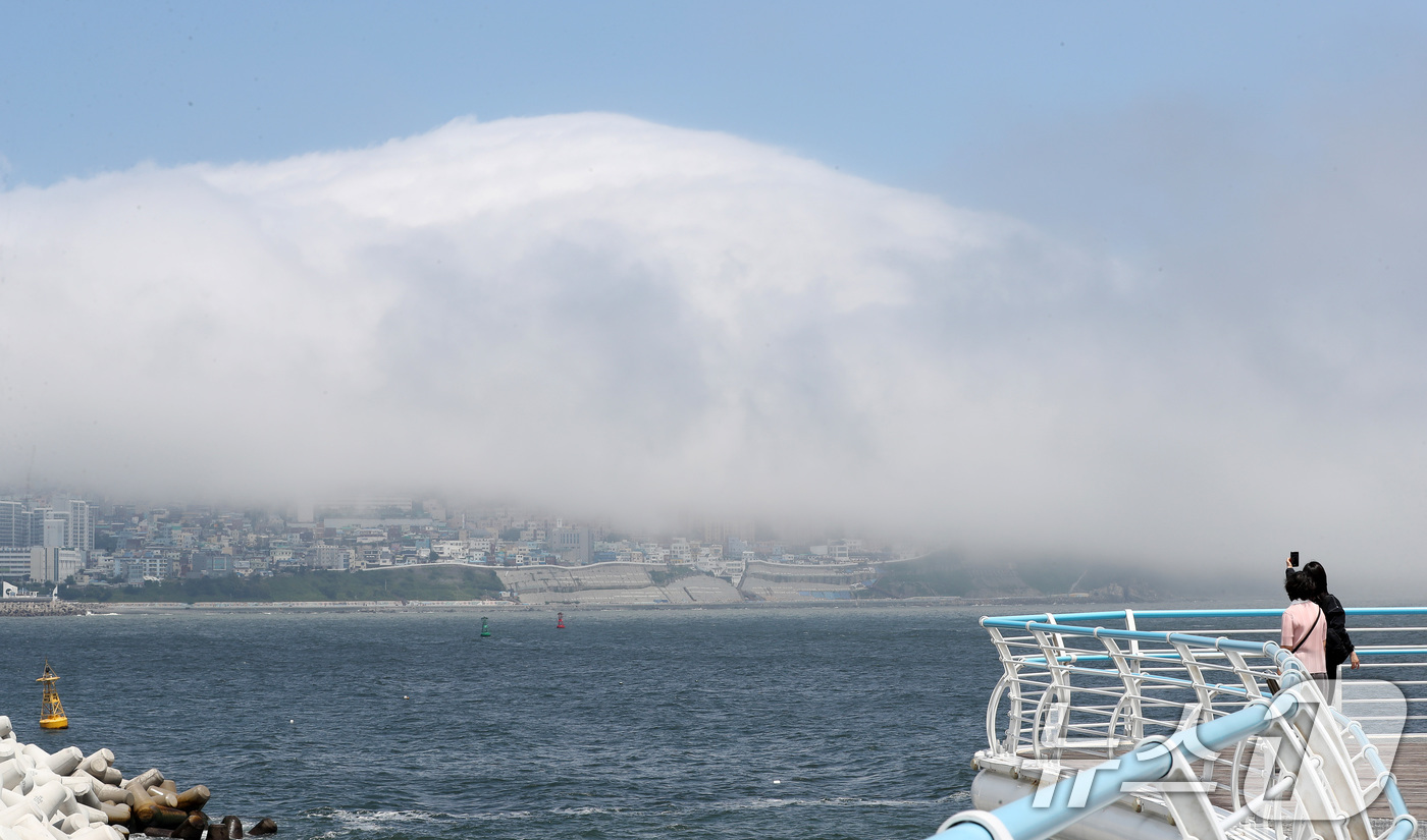 (부산=뉴스1) 윤일지 기자 = 절기상 본격적인 더위가 시작된다는 소서(小暑)를 하루 앞둔 5일 오후 부산 영도구 봉래산 일대가 짙은 해무로 뒤덮여 이색적인 풍경을 연출하고 있다. …