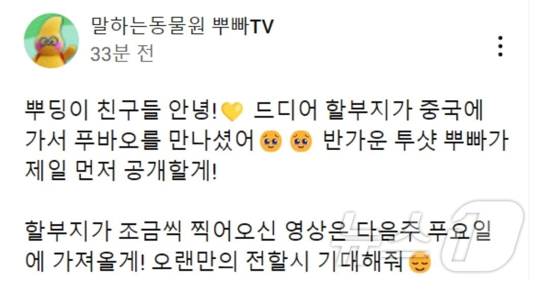 본문 이미지 -  에버랜드 유튜브 말하는 동물원 뿌빠TV 공지글&#40;유튜브 갈무리&#41;