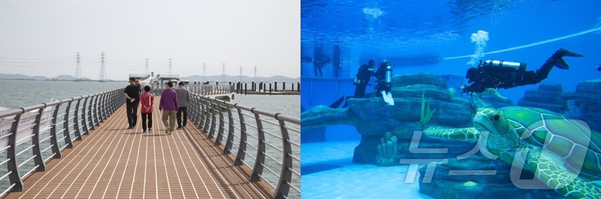 본문 이미지 - 새로운 해양레저 중심 ‘시흥 거북섬 마리나 브리지’&#40;경기관광공사 제공&#41;/