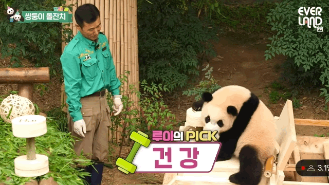 본문 이미지 - 돌잡이로 아령을 선택한 루이(에버랜드 유튜브 갈무리) 